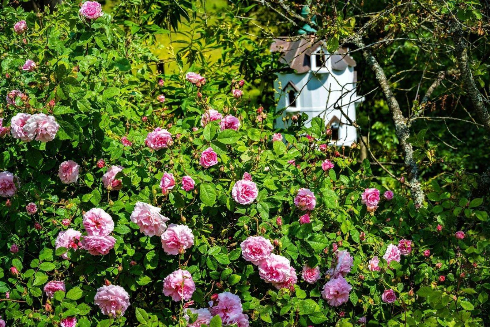 Ebony Cottage Тенбері Екстер'єр фото